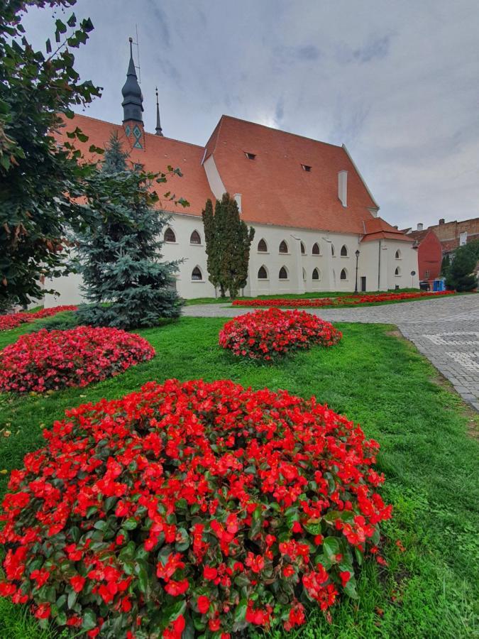 Отель Via Transilvanica Сигишоара Экстерьер фото